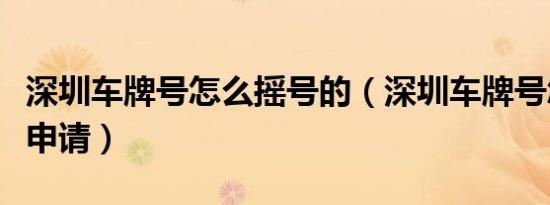 深圳车牌号怎么摇号的（深圳车牌号怎么摇号申请）