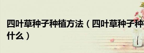 四叶草种子种植方法（四叶草种子种植方法是什么）