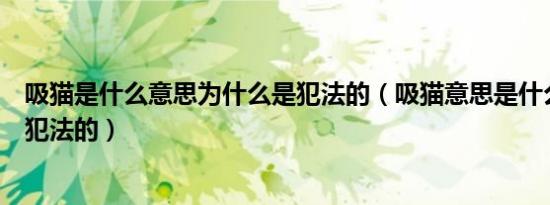 吸猫是什么意思为什么是犯法的（吸猫意思是什么为什么是犯法的）