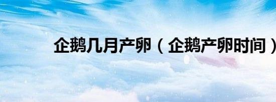 企鹅几月产卵（企鹅产卵时间）