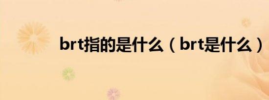 brt指的是什么（brt是什么）