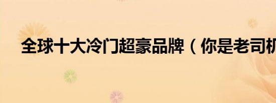 全球十大冷门超豪品牌（你是老司机吗）