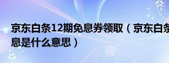 京东白条12期免息券领取（京东白条12期免息是什么意思）