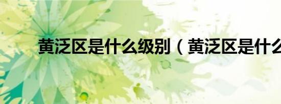 黄泛区是什么级别（黄泛区是什么）