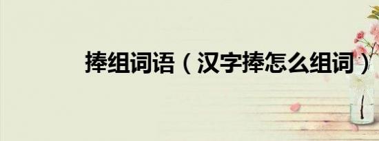 捧组词语（汉字捧怎么组词）