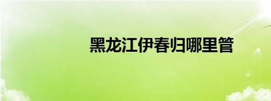 黑龙江伊春归哪里管