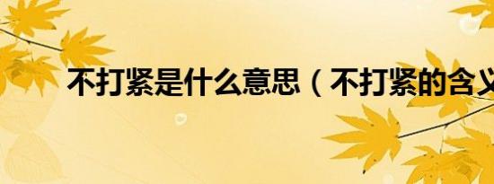 不打紧是什么意思（不打紧的含义）