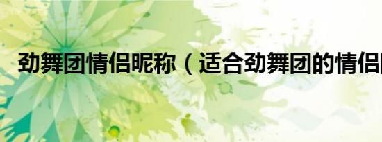 劲舞团情侣昵称（适合劲舞团的情侣网名）