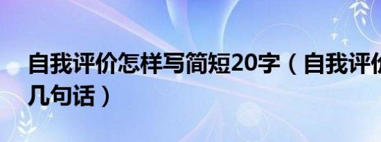 自我评价怎样写简短20字（自我评价简短的几句话）