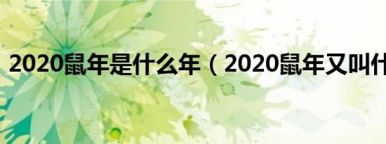 2020鼠年是什么年（2020鼠年又叫什么年）