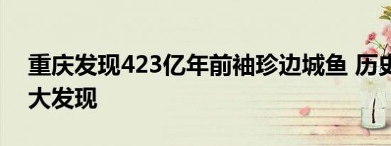 重庆发现423亿年前袖珍边城鱼 历史又一重大发现