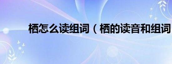 栖怎么读组词（栖的读音和组词）