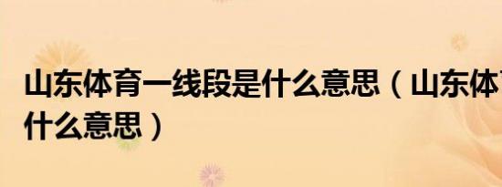 山东体育一线段是什么意思（山东体育一段线什么意思）