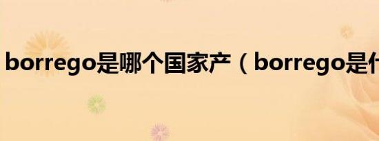 borrego是哪个国家产（borrego是什么车）
