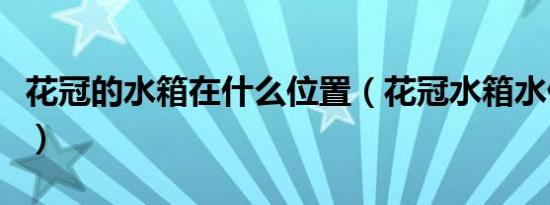 花冠的水箱在什么位置（花冠水箱水什么颜色）
