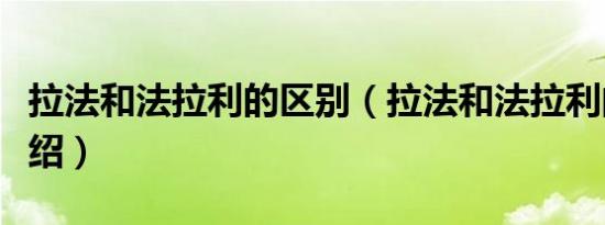拉法和法拉利的区别（拉法和法拉利的区别介绍）