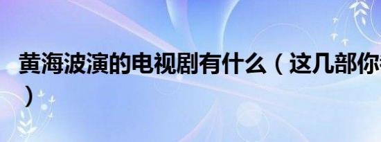 黄海波演的电视剧有什么（这几部你都看过吗）