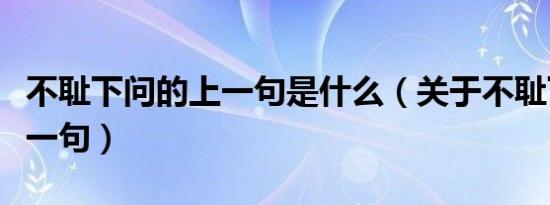 不耻下问的上一句是什么（关于不耻下问的上一句）