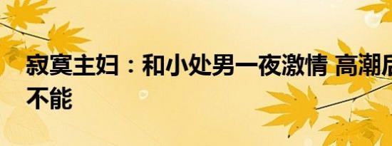 寂寞主妇：和小处男一夜激情 高潮后我欲罢不能