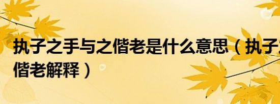 执子之手与之偕老是什么意思（执子之手与之偕老解释）