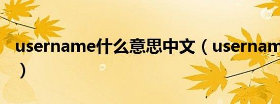 username什么意思中文（username的意思）
