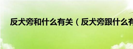 反犬旁和什么有关（反犬旁跟什么有关）