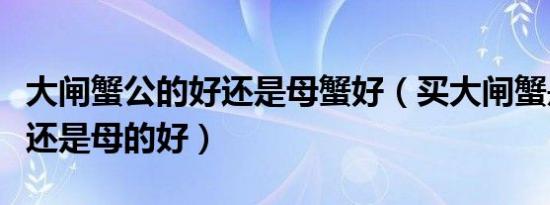 大闸蟹公的好还是母蟹好（买大闸蟹是公的好还是母的好）