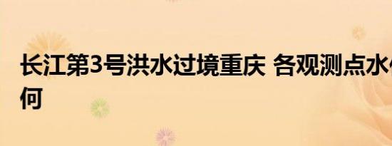 长江第3号洪水过境重庆 各观测点水位情况如何