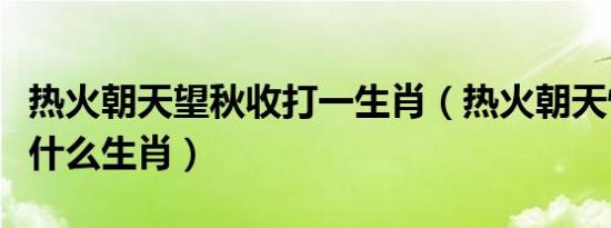 热火朝天望秋收打一生肖（热火朝天忙秋收是什么生肖）