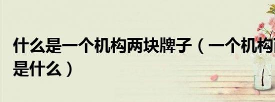 什么是一个机构两块牌子（一个机构两块牌子是什么）