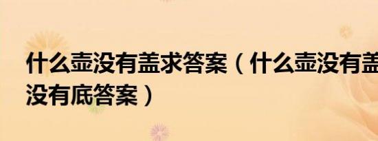 什么壶没有盖求答案（什么壶没有盖 什么盆没有底答案）