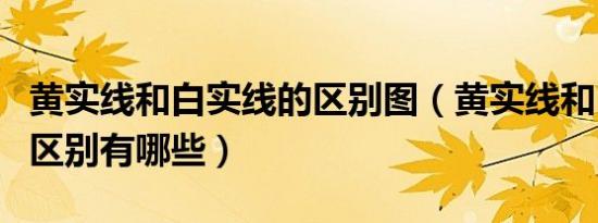 黄实线和白实线的区别图（黄实线和白实线的区别有哪些）