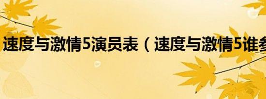 速度与激情5演员表（速度与激情5谁参演了）