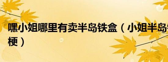 嘿小姐哪里有卖半岛铁盒（小姐半岛铁盒什么梗）