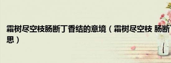 霜树尽空枝肠断丁香结的意境（霜树尽空枝 肠断丁香结的意思）