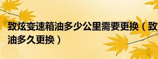 致炫变速箱油多少公里需要更换（致炫变速箱油多久更换）