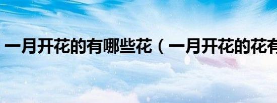 一月开花的有哪些花（一月开花的花有什么）