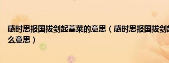 感时思报国拔剑起蒿莱的意思（感时思报国拔剑起蒿莱是什么意思）