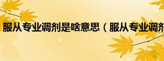 服从专业调剂是啥意思（服从专业调剂介绍）