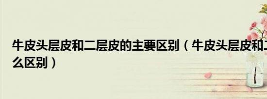 牛皮头层皮和二层皮的主要区别（牛皮头层皮和二层皮有什么区别）