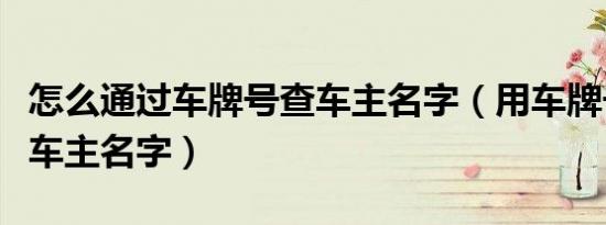 怎么通过车牌号查车主名字（用车牌号怎么查车主名字）