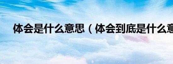 体会是什么意思（体会到底是什么意思）