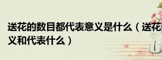 送花的数目都代表意义是什么（送花数量的含义和代表什么）