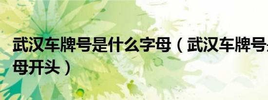 武汉车牌号是什么字母（武汉车牌号是什么字母开头）