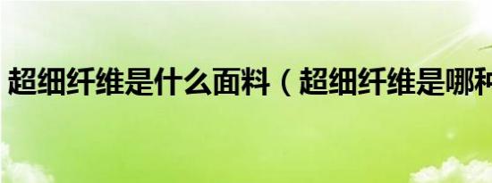 超细纤维是什么面料（超细纤维是哪种面料）