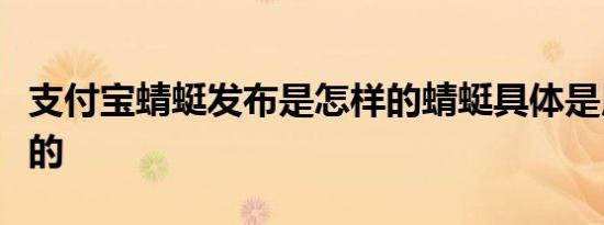 支付宝蜻蜓发布是怎样的蜻蜓具体是用来干嘛的