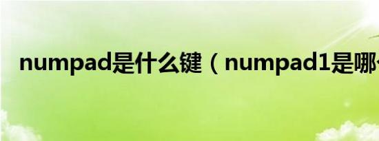 numpad是什么键（numpad1是哪个键）