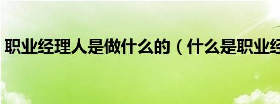 职业经理人是做什么的（什么是职业经理人）