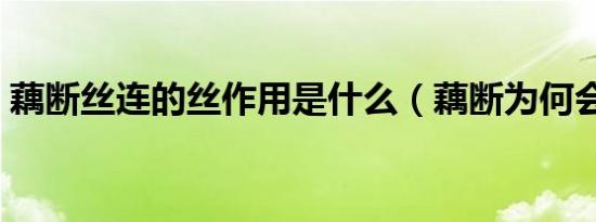 藕断丝连的丝作用是什么（藕断为何会丝连）