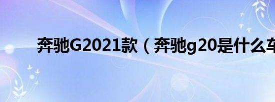 奔驰G2021款（奔驰g20是什么车）